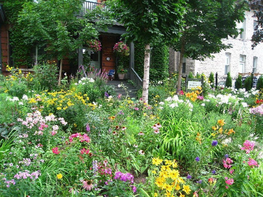 Auberge King Edward Bed And Breakfast ออตตาวา ภายนอก รูปภาพ
